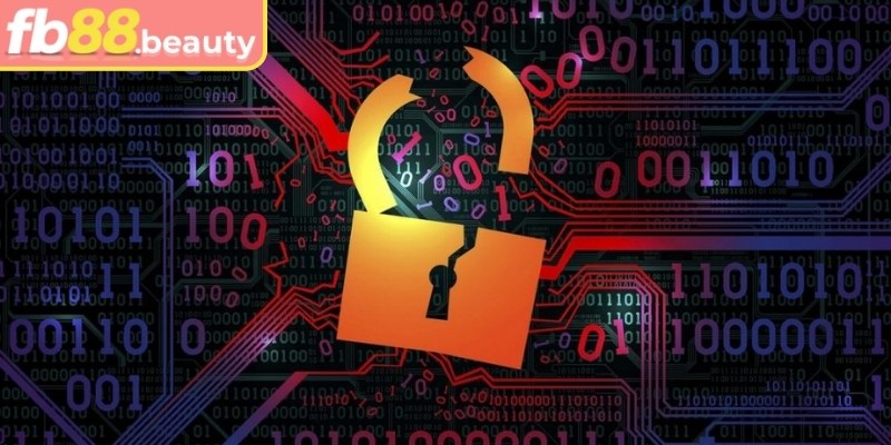 Chính Sách Bảo Mật 1 Áp dụng chính sách bảo mật thu thập dữ liệu chuẩn