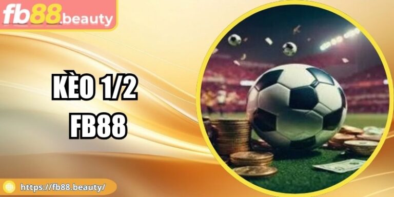 Kèo 1/2 FB88 - Khám Phá Bí Quyết Đặt Cược Chính Xác